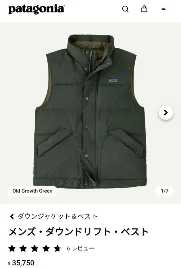 파타고니아 다운 드리프트 베스트