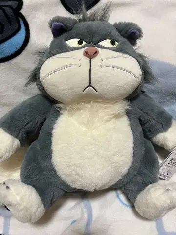 루시퍼 핫 워터 보틀