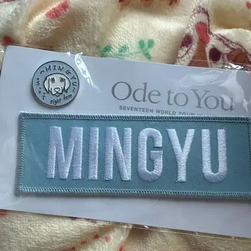 SEVENTEEN 민규 자수 배지 Ode to You