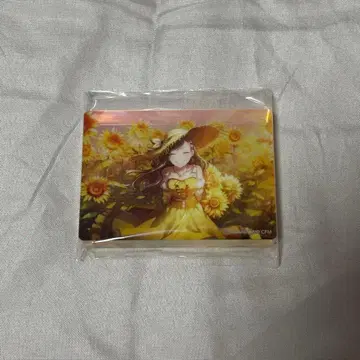 프로젝트 세계 프로세카 시로이시 안 노블 아트 컬렉션 vol.44