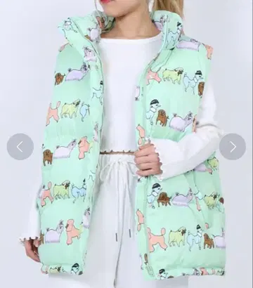 PUNYUS FUGU 강아지 패턴 다운 베스트 민트 그린 사이즈 3