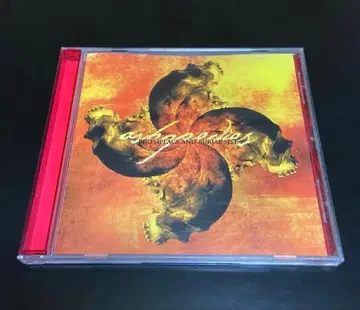 AS HOPE DIES Birthplace And CD 메탈코어