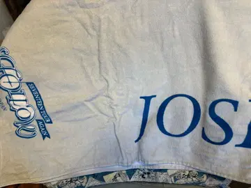 SEVENTEEN TOUR AGAIN 타월 ( JOSHUA )