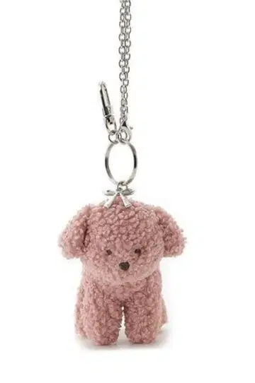 gelato pique 푸들 참