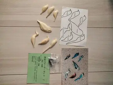 야생 조류 브로치 색칠 키트