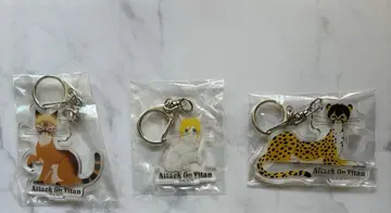 진격의 거인 라이너 아나 베르톨트 아크릴 키링