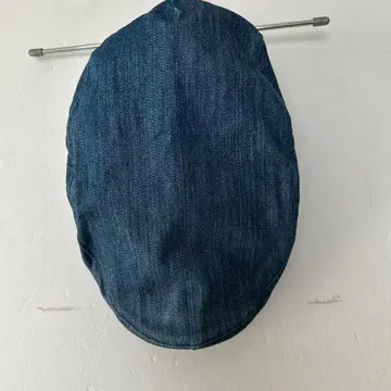 에비수 데님 헌팅