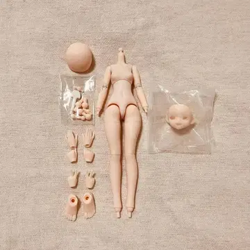 광암쌍생 축하 캔디 축복당 NeoEdenToys 인형 노메이크업