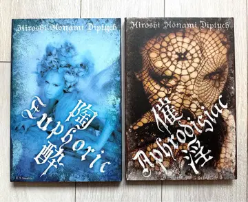 Hiroshi Nonami Diptych 아트북 세트 플라이어 포함