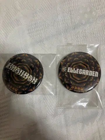 진미래제 가챠 ELLEGARDEN과 brahman