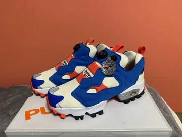 Reebok Pump 인스타펌프 퓨리 트레일