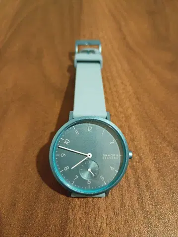 [스카겐] 손목시계 AAREN 남성용 라이트 블루 SKW6509