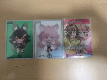 화이트 에일 그린 에일 밋코로네 24 호로카