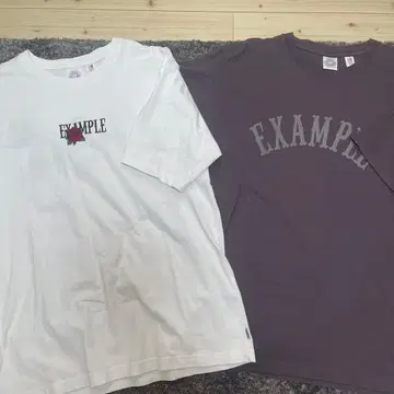 EXAMPLE T셔츠 2장 세트
