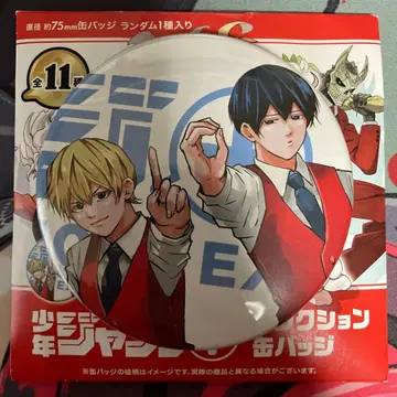 망각 배터리 점프+전 캔뱃지