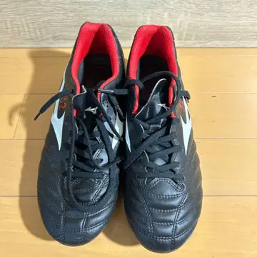 미즈노 모나르시다 네오 24.5