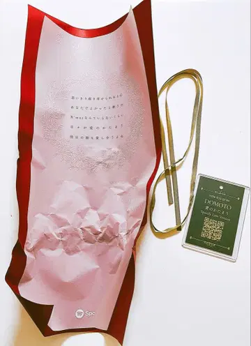 DOMOTO 사랑의 덩어리 POP-UP EVENT 포장지 세트