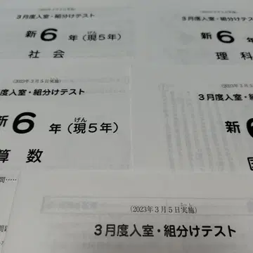 사픽스 3월도 입실 조 편성 테스트 신 6년 (현 5년)