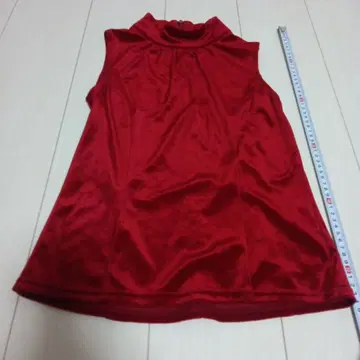 레드 벨벳 하이넥 슬리브리스 2사이즈