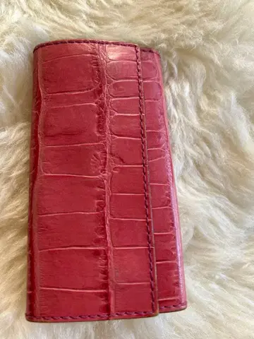 Felisi 페리지 키케이스 핑크 921