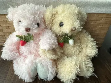 TAKE OFF 테이크오프 테디베어 곰 봉제 인형 손발 자석 포함