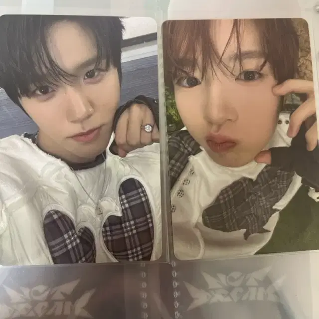 컬러 앨범 재희 사쿠야 포카