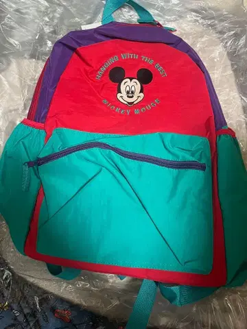 치마지로 백팩 성인용 새상품 미사용 미키 디즈니
