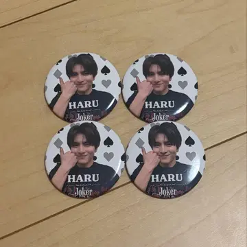 초특급 하루 Joker 캔뱃지