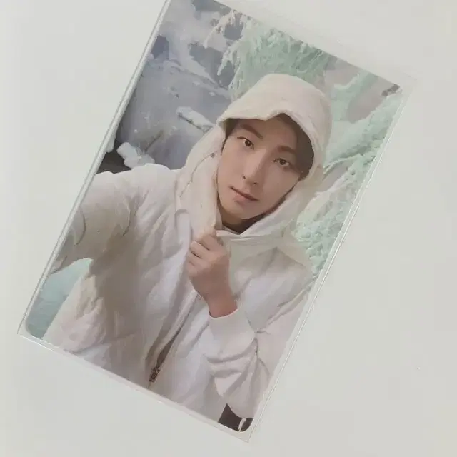 원우 SECTOR 17 COMPACT ver. 포카 양도