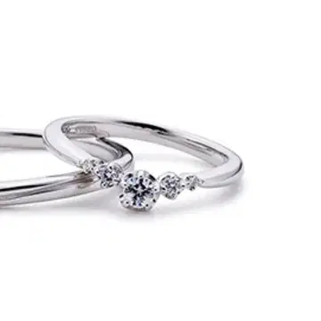 페스타리아 반지 (박스 포함)