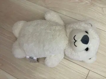 N 웜  북극곰 Q S