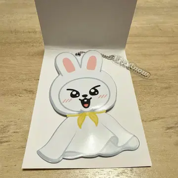 스키즈 왈츠 dominATE 랜덤 미니 부채 키링 리노