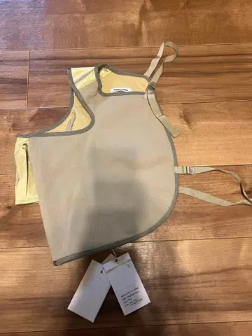 후미카우치다 베이지 골드 뷔스티에