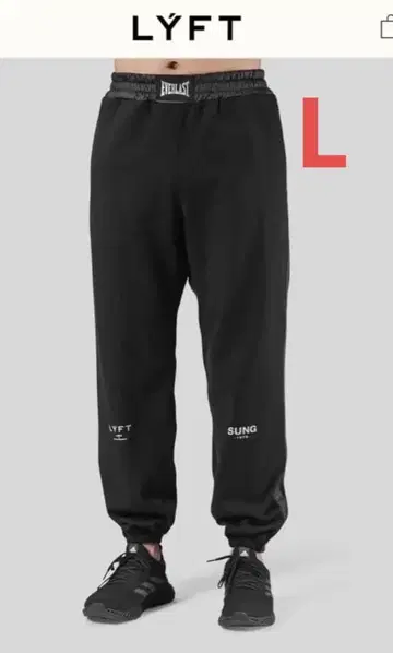 [레어] LYFT EVERLAST SUNG 콜라보 darc sport