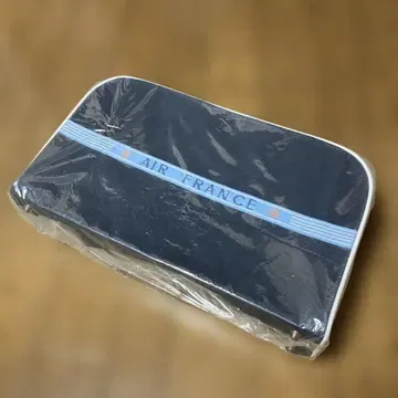 트래블 백 에어 프랑스 소형 아이비