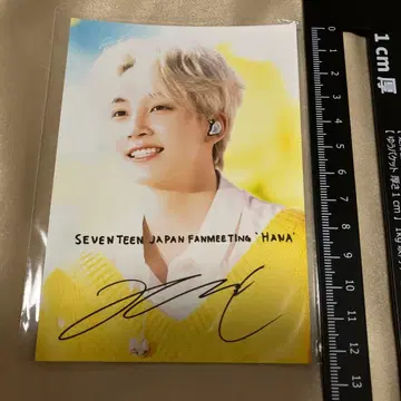 seventeen 정한 로손 프린트 hana L판 세부치