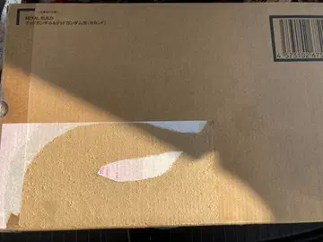 METAL BUILD 메탈빌드 갓 건담 & 갓 건담 세컨드