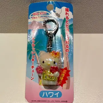 헬로키티 세계의 패션 하와이