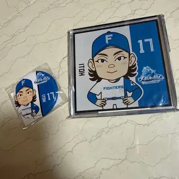 파이터즈 가챠 이토 히로미 세트