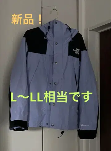 THE NORTH FACE 고어텍스 마운틴 후드티