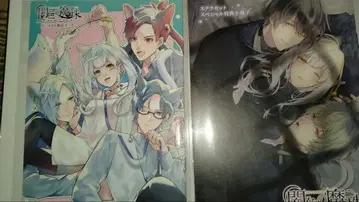 어둠색 마주 소책자 애니메이트 스텔라 Switch