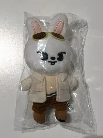 스키즈 리노 리빗 백참 skz