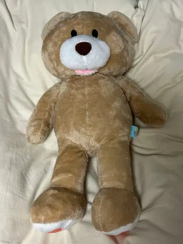 축 늘어진 베어 씨 곰 봉제 인형