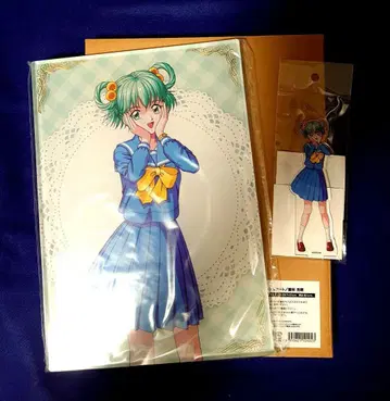 두근두근 메모리얼 [타테바야시 미하루] 노블 아트 아크릴 스탠드