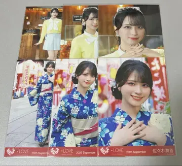 이코라부 사사키 마이카 생사진 컴프