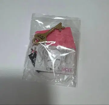 [열쇠 포함] NANA 미니 참 컬렉션 가챠 아이섀도우 하치