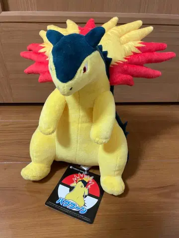 발키리  포켓몬 센터