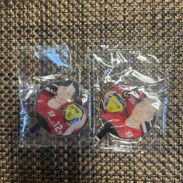 타카하시 아이, 타카하시 켄타로 배구 부채형 참