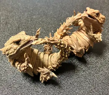 생물대도감 아르마딜로 도마뱀 2종