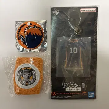 하이큐!! 카라스노 고교 히나타 쇼요 굿즈 묶음 판매